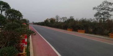 以道路建設為引擎，驅動基礎設施、營商環境與環保協同提升的工程管理實踐